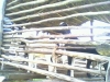 IMG0151A