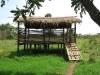 goat-shed